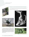 Alternative view 7 of The Contemporary Art of Nature: Mammals