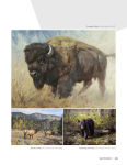 Alternative view 8 of The Contemporary Art of Nature: Mammals