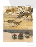 Alternative view 9 of The Contemporary Art of Nature: Mammals