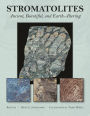 Stromatolites: Ancient, Beautiful, and Earth-Altering