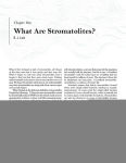 Alternative view 5 of Stromatolites: Ancient, Beautiful, and Earth-Altering