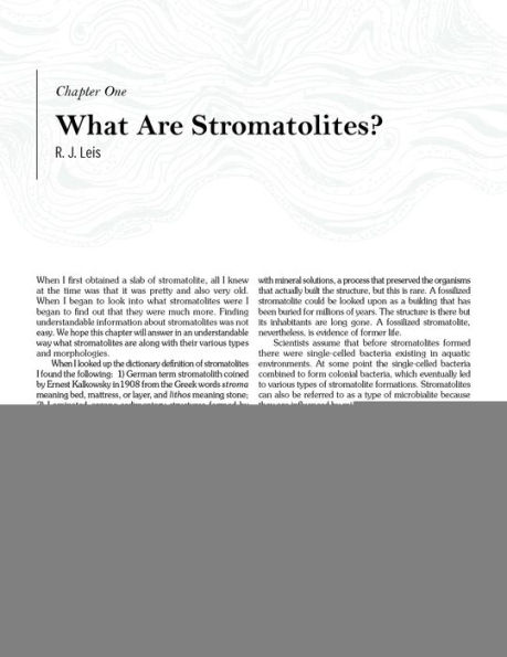 Stromatolites: Ancient, Beautiful, and Earth-Altering