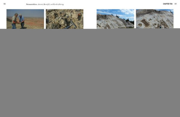 Stromatolites: Ancient, Beautiful, and Earth-Altering