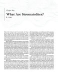 Alternative view 7 of Stromatolites: Ancient, Beautiful, and Earth-Altering