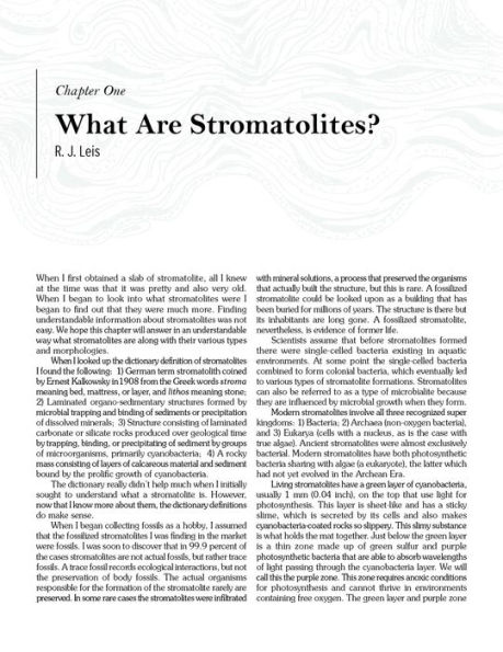 Stromatolites: Ancient, Beautiful, and Earth-Altering