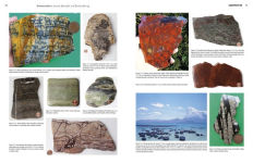 Alternative view 9 of Stromatolites: Ancient, Beautiful, and Earth-Altering
