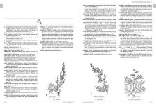 Alternative view 2 of The Historical Apothecary Compendium: A Guide to Terms and Symbols
