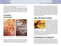 Alternative view 9 of Aliens Among Us: Exploring Past and Present