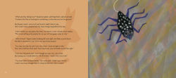 Alternative view 6 of Rupert's Tales: Making More Magick