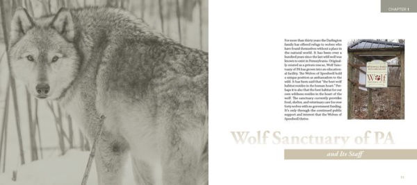 Wolf Sanctuary: The Wolves of Speedwell Forge