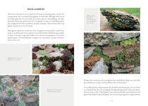 Alternative view 3 of Sempervivum: A Gardener's Perspective of the Not-So-Humble Hens-and-Chicks