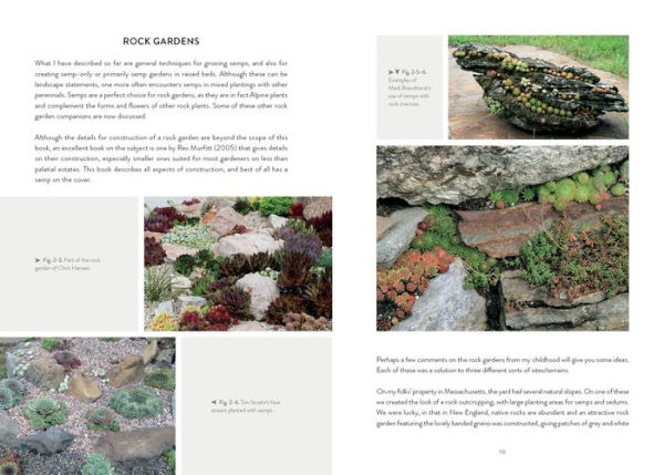 Sempervivum: A Gardener's Perspective of the Not-So-Humble Hens-and-Chicks