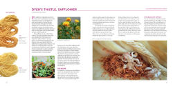 Alternative view 3 of Natural Dyeing with Plants: Glorious Colors from Roots, Leaves & Flowers