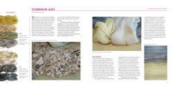 Alternative view 6 of Natural Dyeing with Plants: Glorious Colors from Roots, Leaves & Flowers
