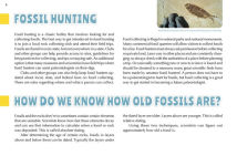 Alternative view 2 of The 50 State Fossils: A Guidebook for Aspiring Paleontologists