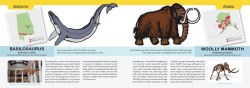 Alternative view 5 of The 50 State Fossils: A Guidebook for Aspiring Paleontologists