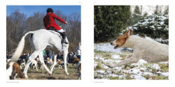 Alternative view 2 of Brandywine Valley: A Keepsake