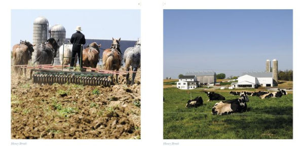 Brandywine Valley: A Keepsake