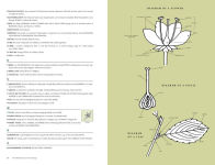 Alternative view 4 of The AIFD Guide to Floral Design: Terms, Techniques, and Traditions