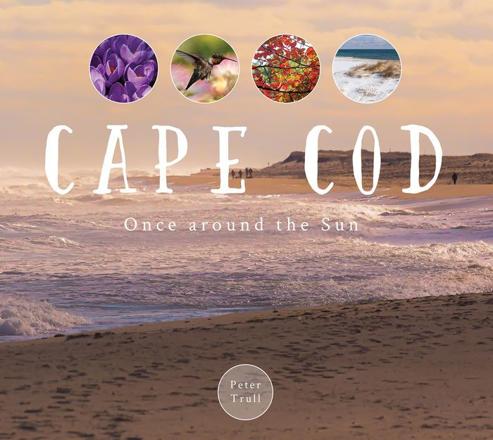 Cape Cod Once around the Sun by Peter Trull, Hardcover Barnes & Noble®