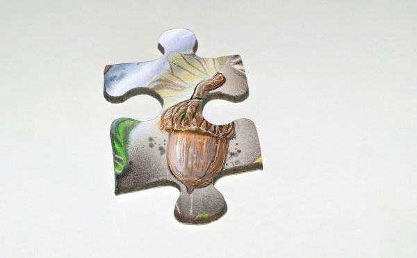 The Tiniest Giant 4-in-1 Puzzle Set: 48-Piece Puzzles for Each Season with Nature Illustrations and Acorn Life Cycle Educational Jigsaw for Kids Ages 3+