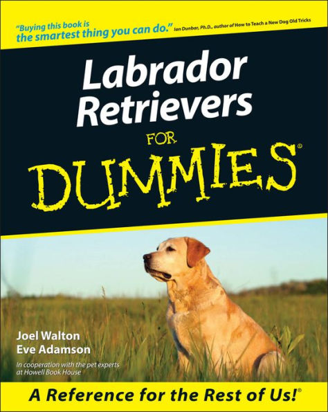 Labrador Retrievers For Dummies