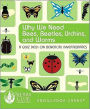 Why We Need Bees, Beetles