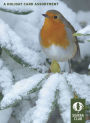 Sierra Club Winter Birds Assorted Christmas Boxed Card