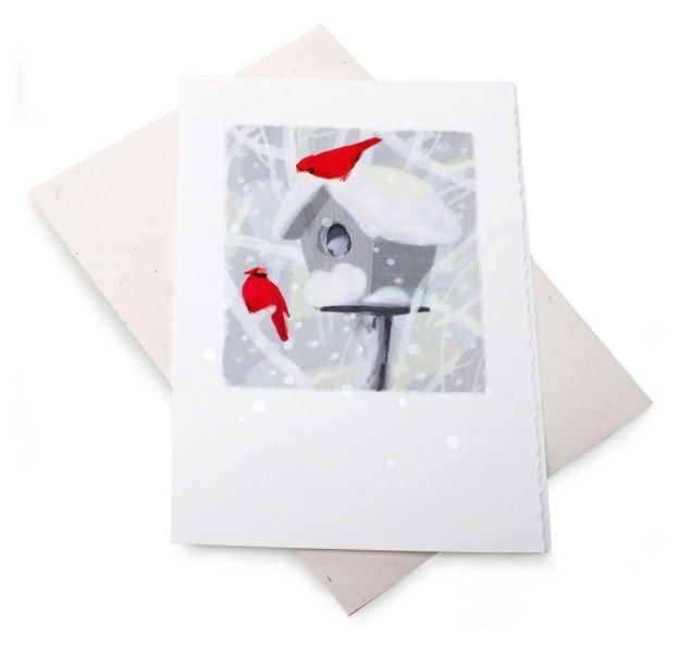Unicef Birds on House Christmas Boxed Card by Sunrise Greetings