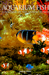 Aquarium Fish