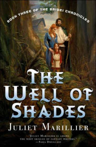 The Well of Shades (Bridei Chronicles Series #3)