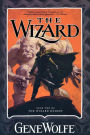 The Wizard (Wizard Knight Series #2)