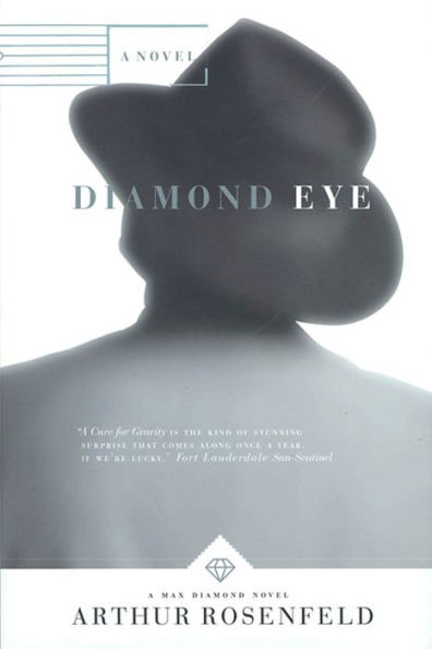 Diamond Eye: A Novel