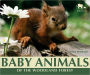 Baby Animals of the Woodland Forest