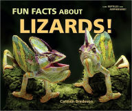 Fun Facts about Lizards!