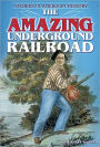 The Amazing Underground Railroad (Stories in American History Series)