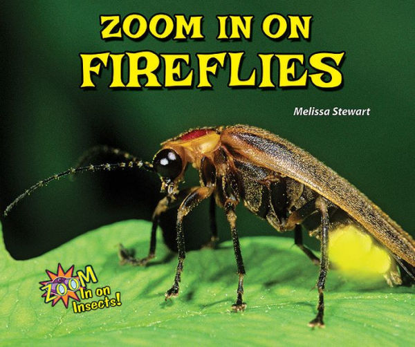 Zoom in on Fireflies