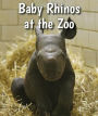 Baby Rhinos at the Zoo
