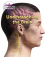 Understanding the Brain