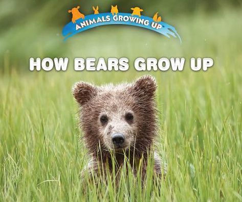 Maximus the Bear Grows Up