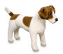 Jack Russell Terrier - Plush