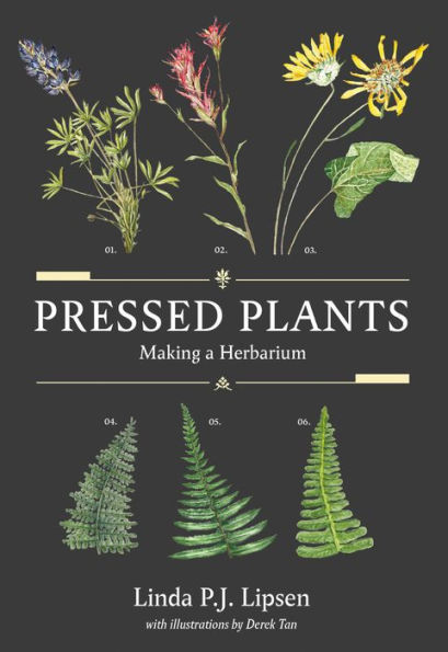 Pressed Plants: Making a Herbarium