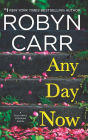 Any Day Now (Sullivan's Crossing Series #2)