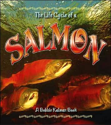The Life Cycle of a Salmon