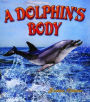A Dolphin's Body