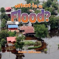 Title: What Is a Flood?, Author: Robin Johnson