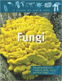 Fungi: Mushrooms, Toadstools, Molds, Yeasts, and Other Fungi