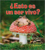 ?Esto es un ser vivo?