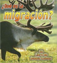 Que es la migracion?