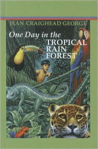 One Day in the Tropical Rain Forest